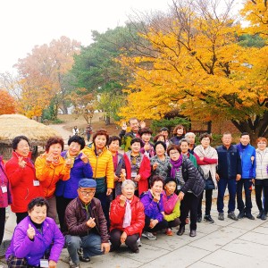 충남사회복지공동모금회 신청사업-난 할 수 있슈 이미지